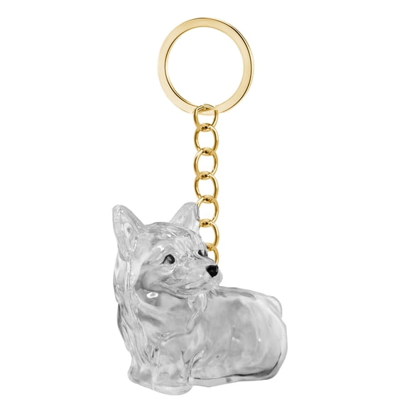 AOOOWER Clear Pet Furs Memory Preservations Box Waterproof Keepsakes For Pet Owners Gift