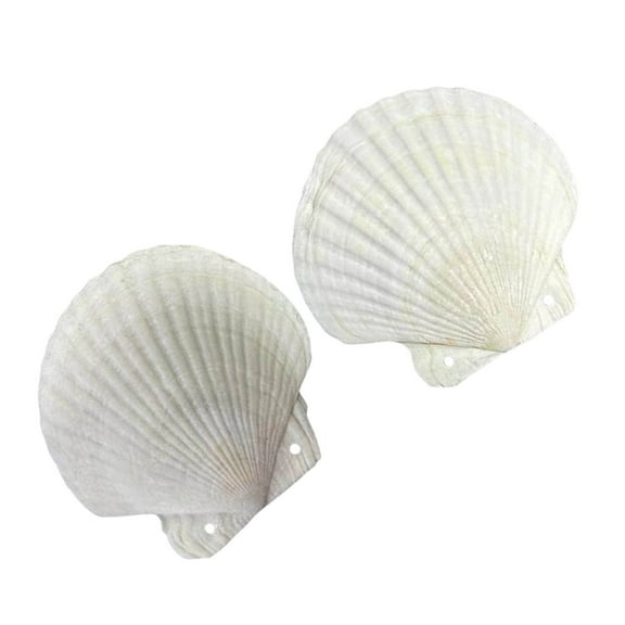 AOOOWER Cute Shell Shape Loose Leaf Notebook for Writers Stationery Small Binder Notepad