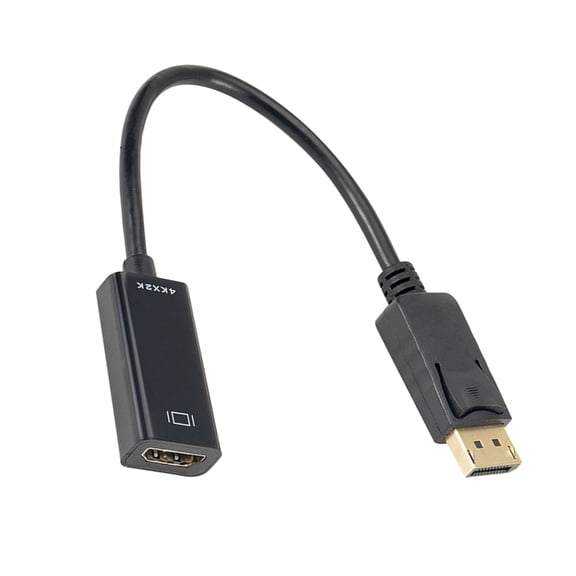 AOOOWER DisplayPort to HDTV Adapters Cable Suitable for Laptops Desktops Projectors