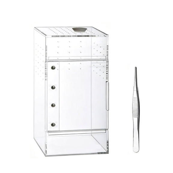 AOOOWER Jumping Spiders Enclosure Amphibians Terrariums Reptiles Cage Acrylic Terrariums