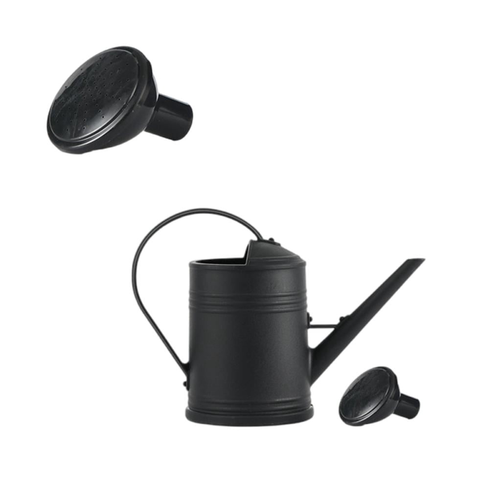 AOOOWER Large 2L Capacity Garden Watering Can With Interchangeable Spout Ergonomic Grip For Potted Plant Hanging Baskets