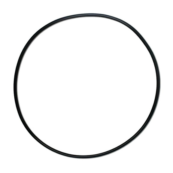 AOOOWER Swimming Pool Filter System O Rings Replacement Rubber Seal 27001-0061S O-484