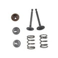 thumbnail image 1 of AOQIANLAN Achieve Reliable And Powerful Intake And Exhaust Valve Spring Holders And Seals 1 Set Valve Spring Kit For Honda GX35 Engine, 1 of 9