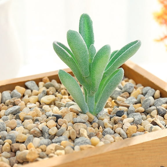 AOQIANLAN Mini Artificial Succulent Flocked Simulation Plant Fake Cactus Lotus Landscape Decorative Ornaments Home Garden Decor MM008 10cm