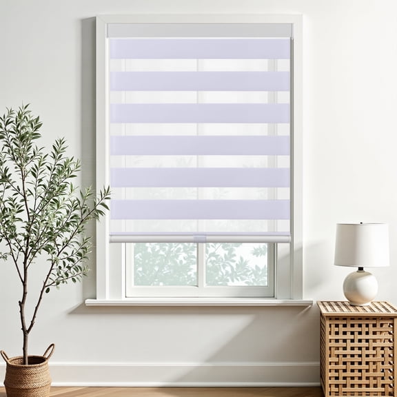 AOSKY Cordless Zebra Blinds for Windows, Light Filtering, Easy Install Day and Night Pull Down Roller Shades for Home, 20"W x 72"H, White