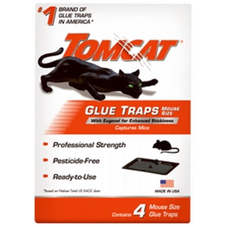 AP & G Co Mouse & Insect Glue Trap, Pack of 6