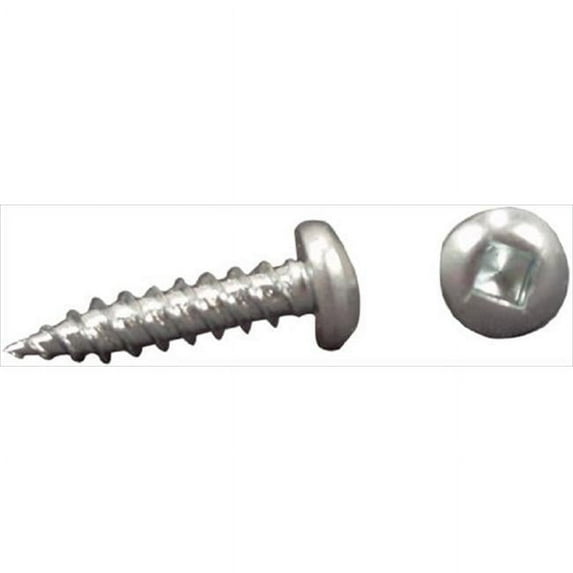 AP PRODUCTS PSQ508X1 Recess Screw- 1 In. - 50 Pack