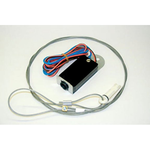 AP Products 014-BS6060 Breakaway Switch with 72" Lanyard & Pin