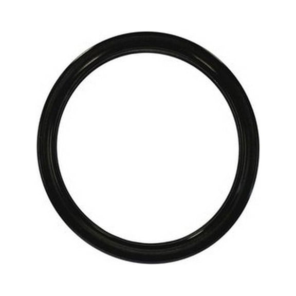 APC APCO2012 Filter Tube O-Ring for Pool or Spa System