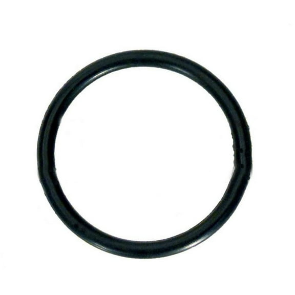 APC APCO2087 Dial Valve O-Ring