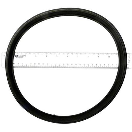 APC APCO2117 11” Rim Gasket