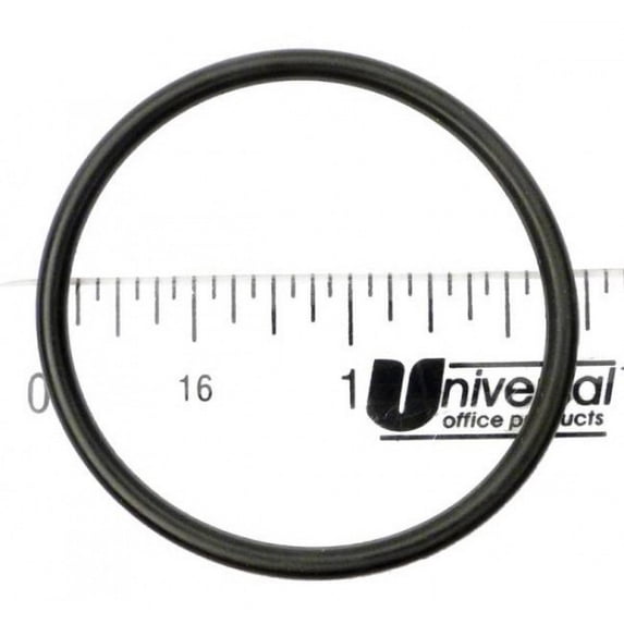 APC APCO2280 Chlorinator Bottom O-Ring