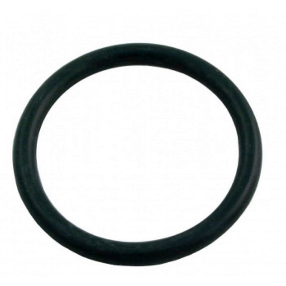 APC APCO2440 SPX0410Z1 O-Ring for Small Piston Valve