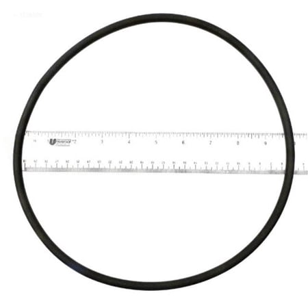 APC O-443 Starite Lid O-Ring