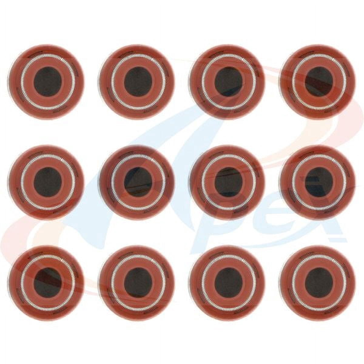 APEX Automobile Parts Inc Valve Stem Seal Set