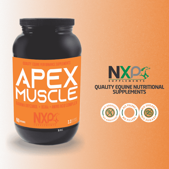 APEX Muscle & Strength - Gamma Oryzanol BCAA Amino Acids Horse Supplement - 3.3 lb (1.5 Kg) Powder - 60 Servings - NXP Supplements