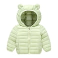 thumbnail image 1 of BFHHYA Baby Toddler Lightweight Puffer Hooded Jacket with Ears Girls Boys Zip-Up Warm Winter Coat Outerwear with Pockets (1-6 Years), 1 of 3