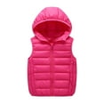 thumbnail image 1 of APEXFWDT Boys Girls Winter Hooded Puffer Vest Kids Lightweight Sleeveless Jacket for 3-14 Years Kids Outdoor Play, 1 of 7