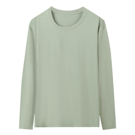APEXFWDT Men's Big&Tall Crew Neck Cotton T-shirt Breathable Long Sleeve Tee Casual Essential Solid Color Undershirt,L,Mint Green