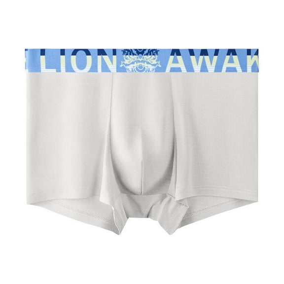 APEXFWDT Men's Cooling Underwear - Ice Silk Soft Boxer Briefs L-4XL Moisture Wicking & Odor Control