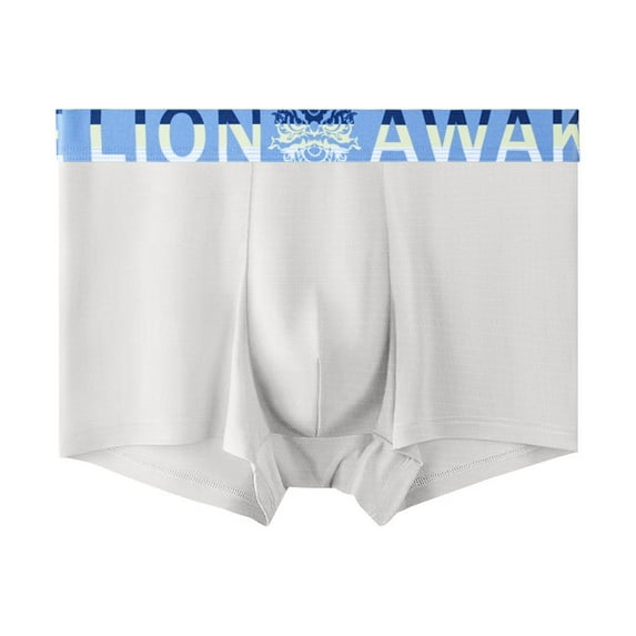 APEXFWDT Men's Cooling Underwear - Ice Silk Soft Boxer Briefs L-4XL Moisture Wicking & Odor Control