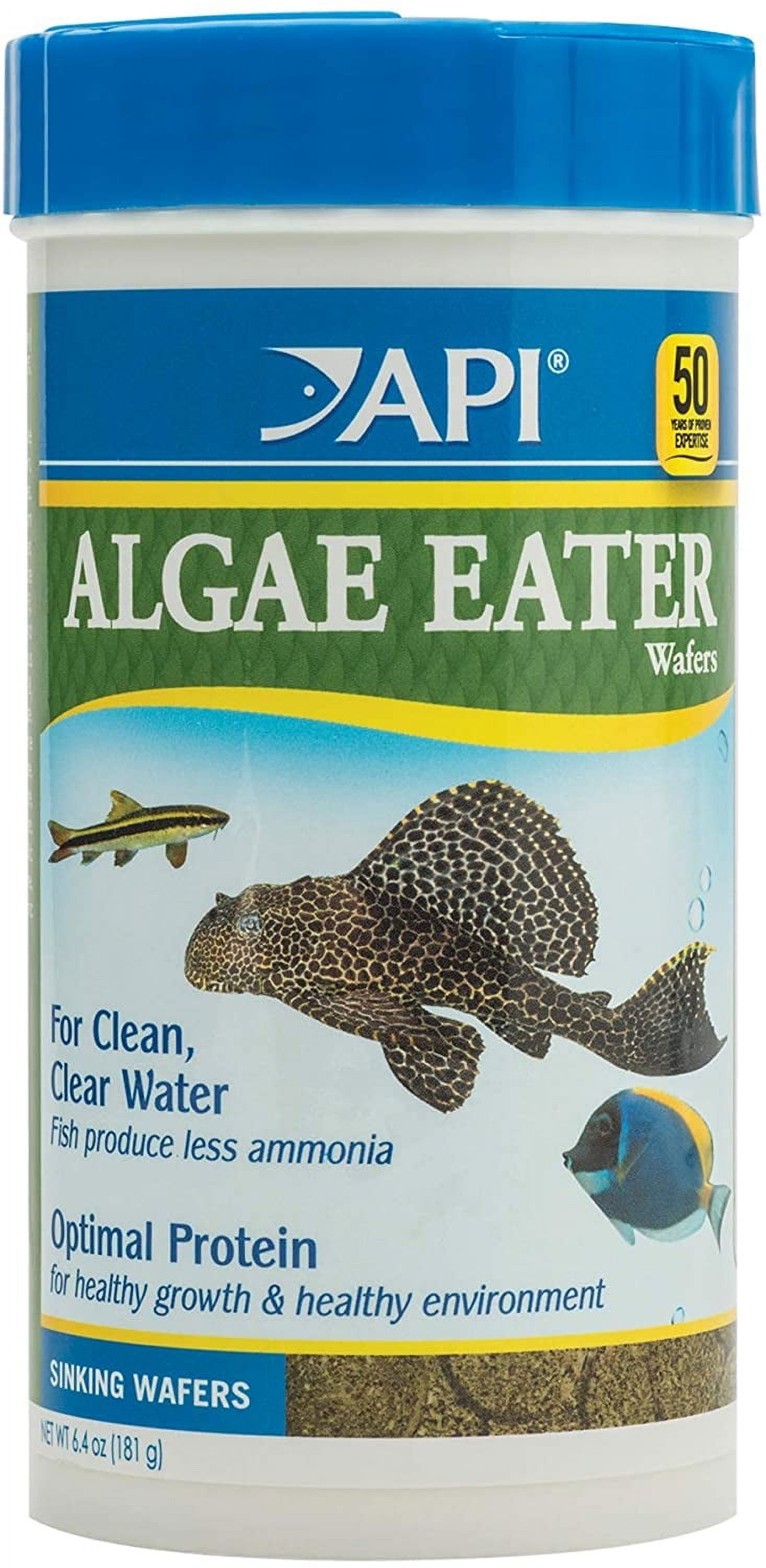 API Algae Eater Sinking Wafers Fish Food [Aquarium Bottom Feeder Food, Aquarium Supplies] 6.4 oz