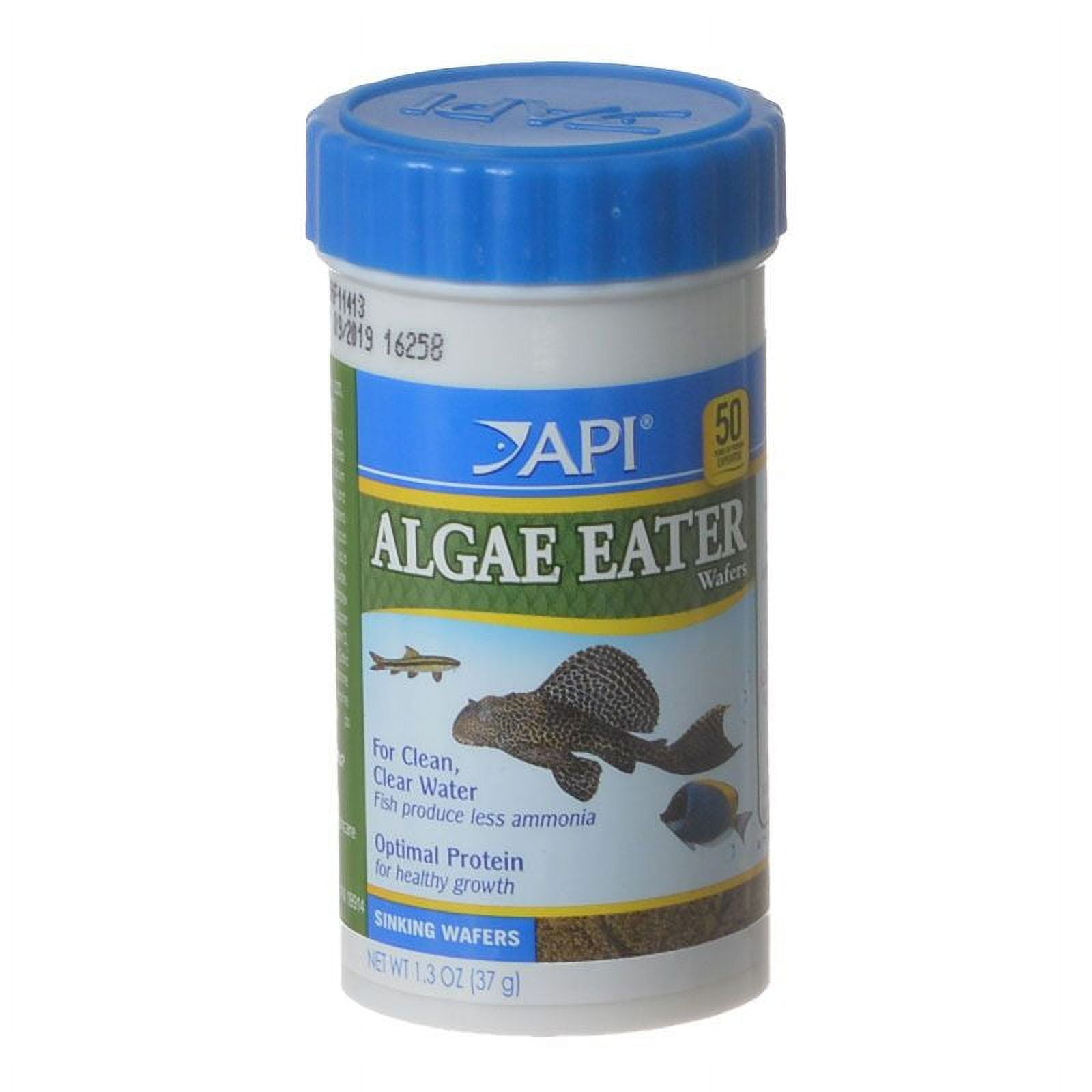 API Algae Eater Wafers, Fish Food, 1.3 oz - Walmart.com