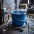 thumbnail image 1 of API Livestock Heated Round Water Bucket, 9 Quart 50W Anti-Chew Cord Ice-Free, 1 of 5