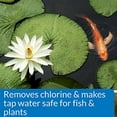 API POND CHLORINE & HEAVY METAL NEUTRALIZER Pond Water Neutralizer 32