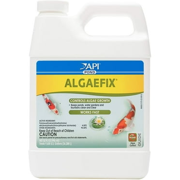 API POND ALGAEFIX Algae Control Solution 32-Ounce Bottle