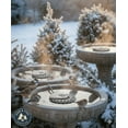 thumbnail image 1 of API Automatic Waterer De-Icer 250W Stock Tank Heater Safe Plastic Up to 30 Gal, 1 of 6