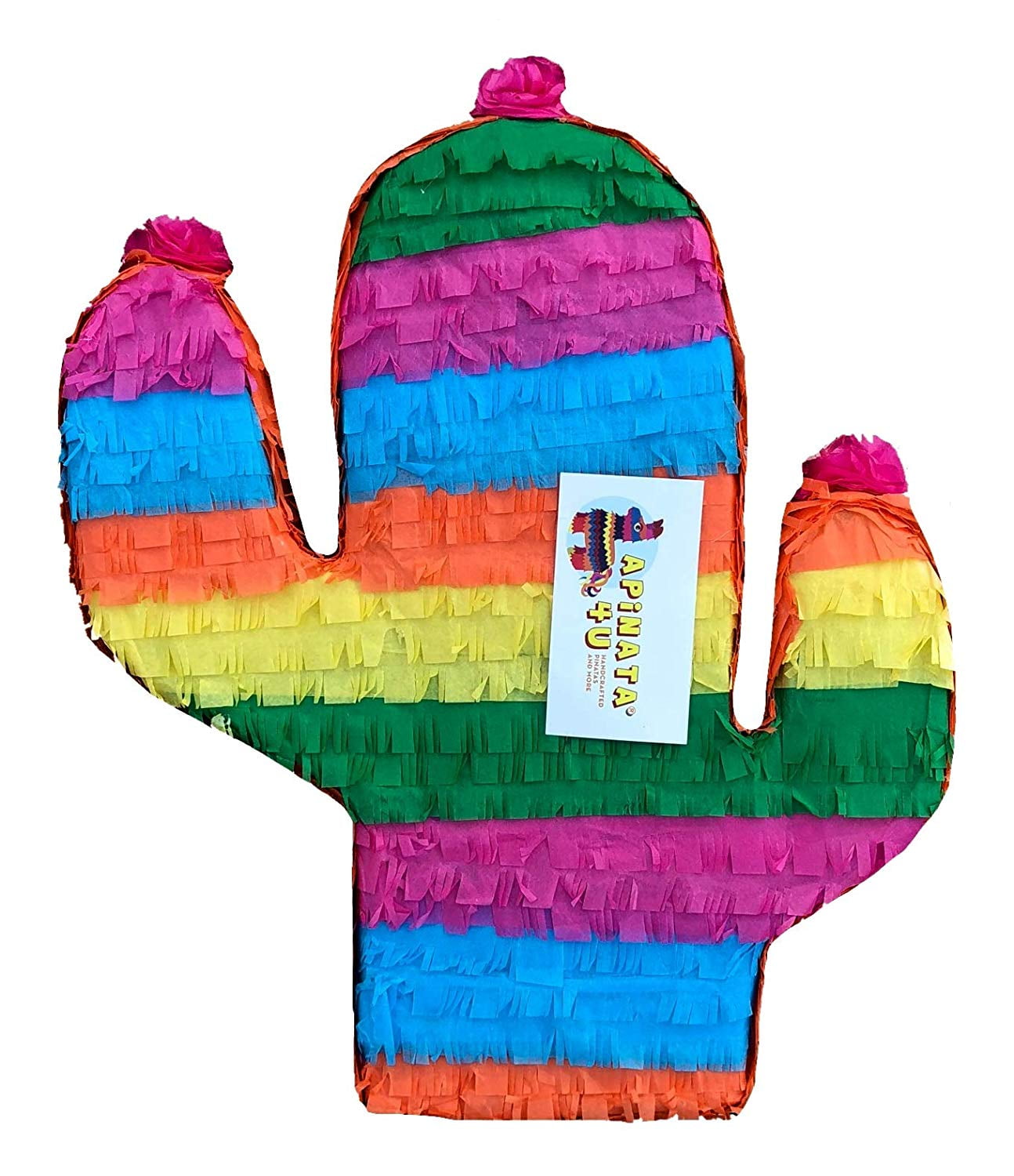 A PINATA 4 U APINATA4U Cactus Pinata Fiesta Theme Fiesta Gender Reveal,20'' Tall