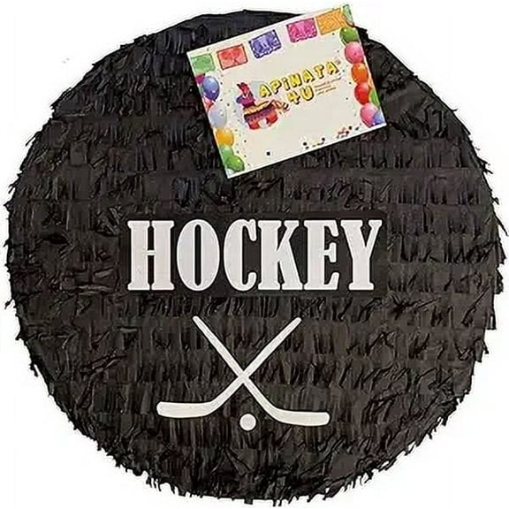 APINATA4U Hockey Puck Pinata 16"