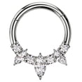 thumbnail image 1 of APIPEE Titanium Micro Cubic Zirconia Hinged Nose Hoop Ring Body Jewelry Unisex, 1 of 7