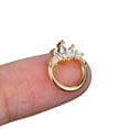 thumbnail image 1 of APIPEE Titanium Micro Cubic Zirconia Hinged Nose Hoop Ring Body Jewelry Unisex, 1 of 7