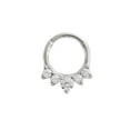 thumbnail image 1 of APIPEE Titanium Micro Cubic Zirconia Hinged Nose Hoop Ring Jewelry Unisex, 1 of 4