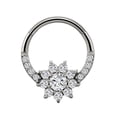 thumbnail image 1 of APIPEE Titanium Micro Cubic Zirconia Hinged Nose Hoop Ring Body Jewelry Unisex, 1 of 5