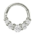 thumbnail image 1 of APIPEE Titanium Micro Cubic Zirconia Hinged Nose Hoop Ring Body Jewelry Unisex, 1 of 4