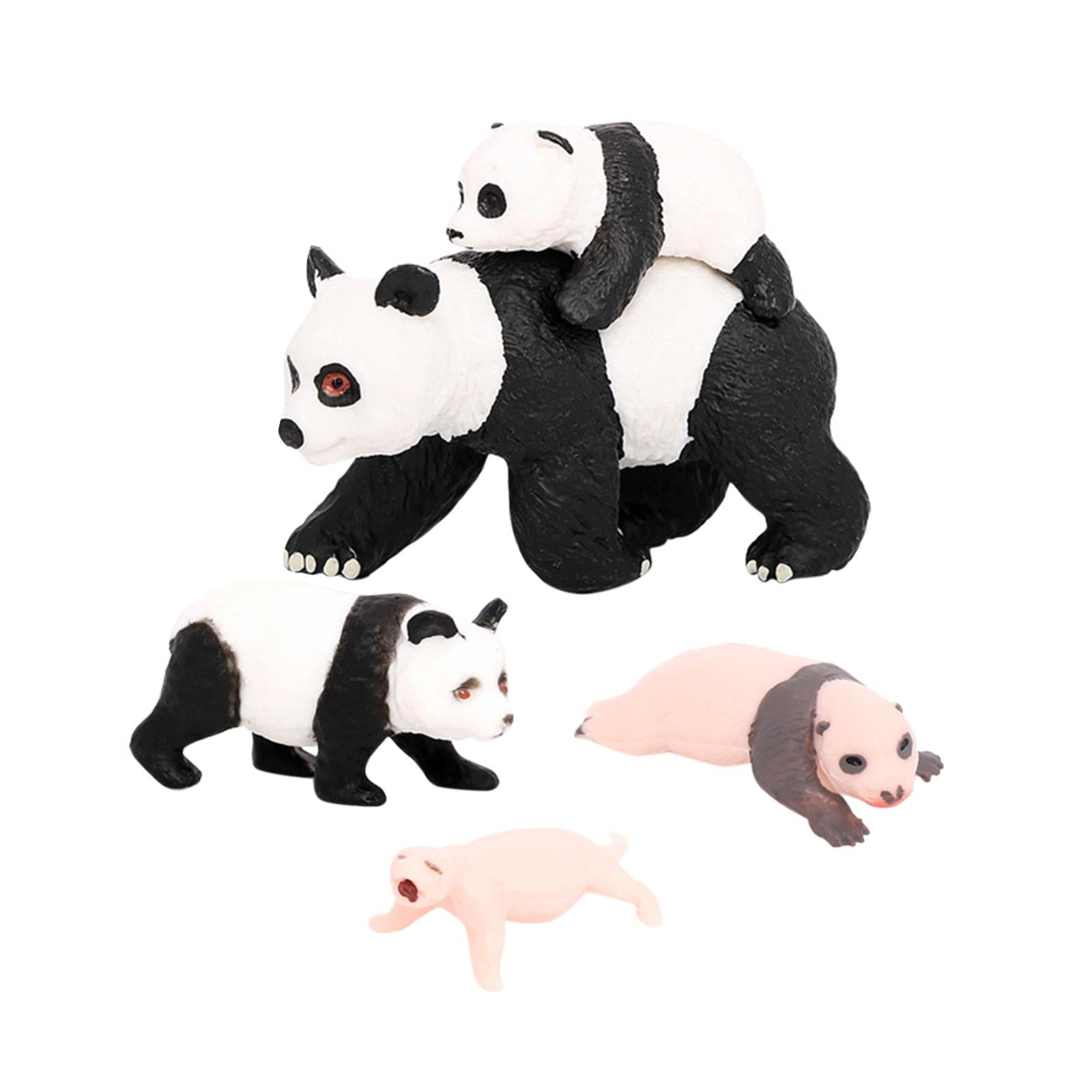 APLVFFZH 4x Panda Animal Life Cycle Model Cognitive Toys