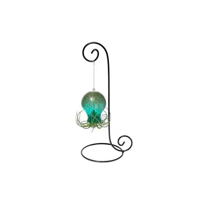 APM APMA132140 Air Plant Octopus, Lake Green - Walmart.com