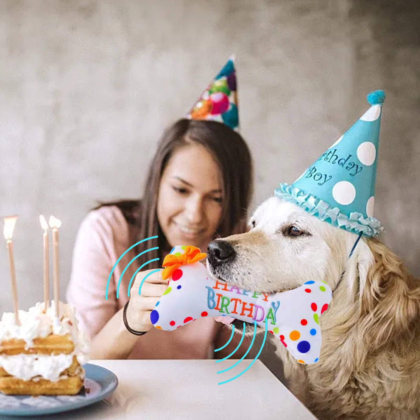 APOKIOG Birthdays Style Dog Birthday Toys Soft Filled Squeaky Play