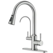APPASO Kitchen Faucet with Water Filter, Pull Out 3 Way Sink Faucets with Sprayer, High Arch 2 Handle Faucet with Water Purifier - 3 in 1 Faucet Brushed Nickel (Without Water Filtration Device)
