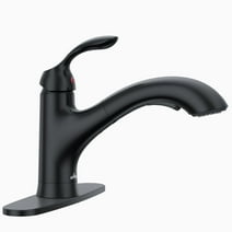 APPASO Single Handle Matte Black Bathroom Sink Faucet with Deck Plate and Supply Hose, APS398-MB