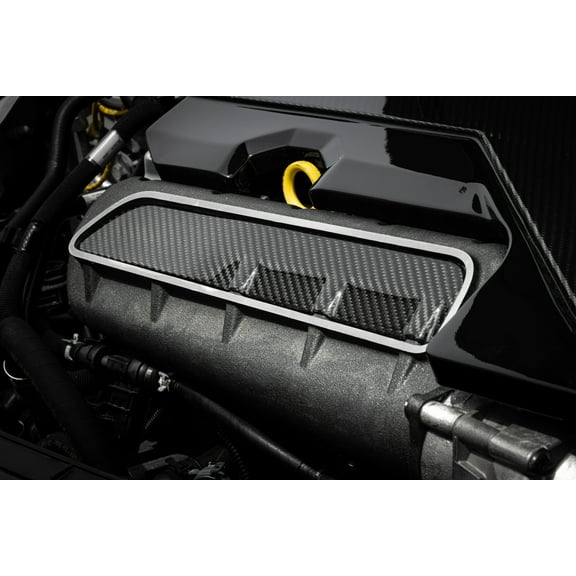 APR MS100251 Carbon Fiber Intake Manifold Cover - Gloss