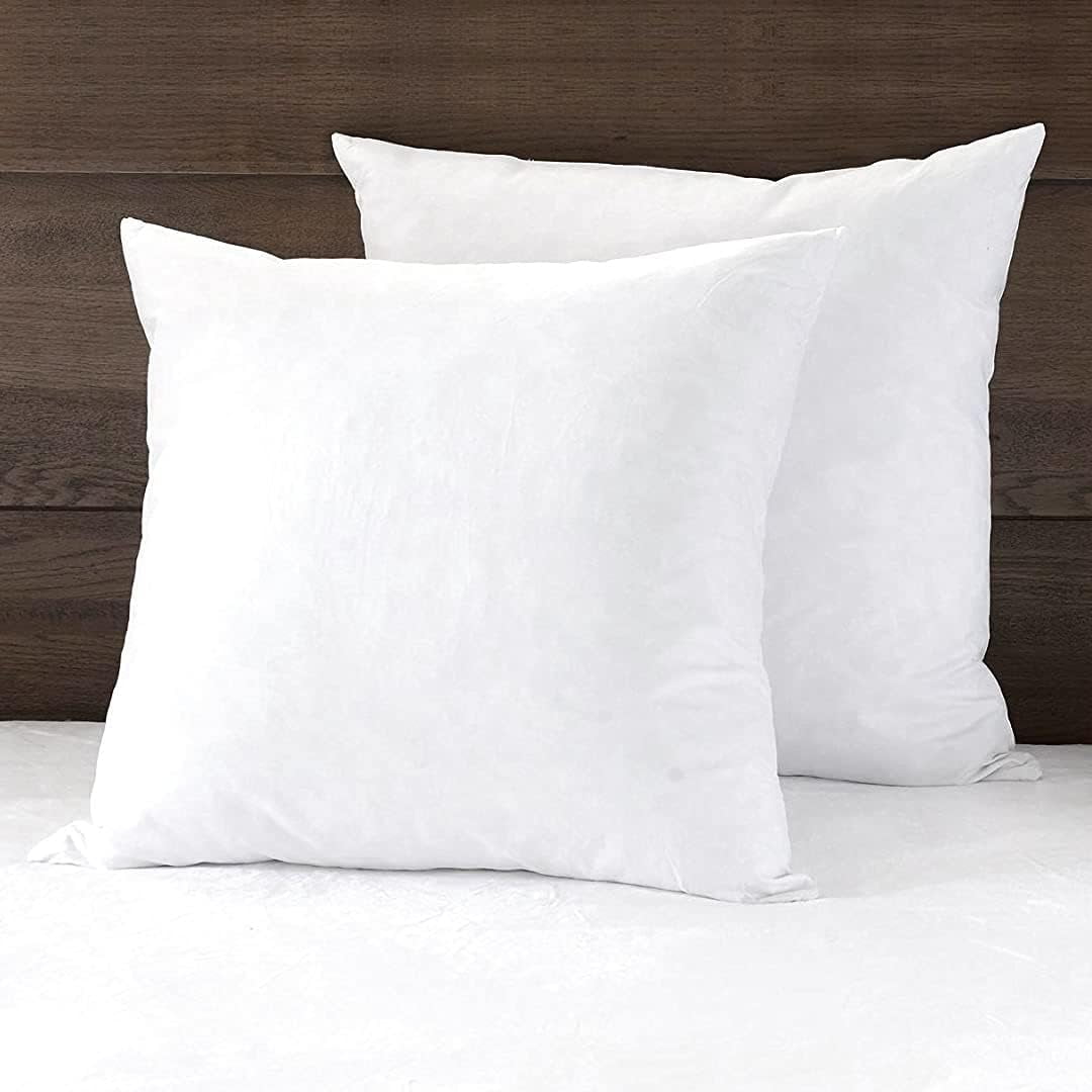 Outdoor 24 in. x 24 in. Premium Goose Down Feather Throw Pillow Inserts(Set of 2)-5% Down Filling, High Filling Weight, White