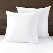 https://i5.walmartimages.com/seo/APSMILE-18x18-Down-Feather-Throw-Pillow-Inserts-2-Pack-Premium-Soft-Cotton-Euro-Square-Decorative-Pillow-Core-Set-for-Bed-Sofa-Couch-Ivory-White_ed9fb485-7e08-4df0-abfe-81e0d0590485.7e484fc3473d051928cd197bc15f2444.jpeg?odnHeight=180&odnWidth=180&odnBg=FFFFFF