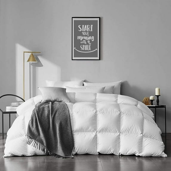APSMILE Twin Size Feathers Down Comforter - Ultra Soft All Seasons 100% Organic Cotton Duvet Insert Medium Warm Quilted Bed Comforter with Corner Tabs (68x90,Ivory White)