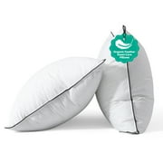 APSMILE Organic Cotton 3‑Chamber Goose Feather Down Core Pillows Set of 2, Medium Support for All Sleepers, Surrounded by Microfiber, Breathable & Hypoallergenic Bed Pillows Queen Size, 20x30 Inch