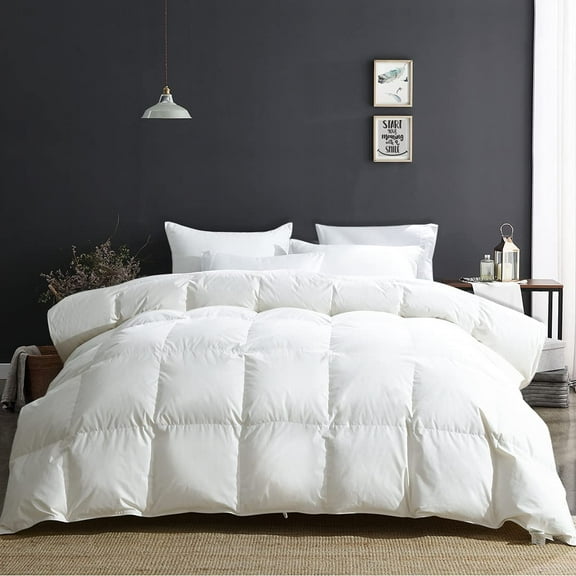 APSMILE Luxury All Season Down Feather Fibers Comforter Full/Queen Size Duvet Insert - 100% Organic Cotton, High Fill Power Medium Warmth, (Ivory White, 90X90)
