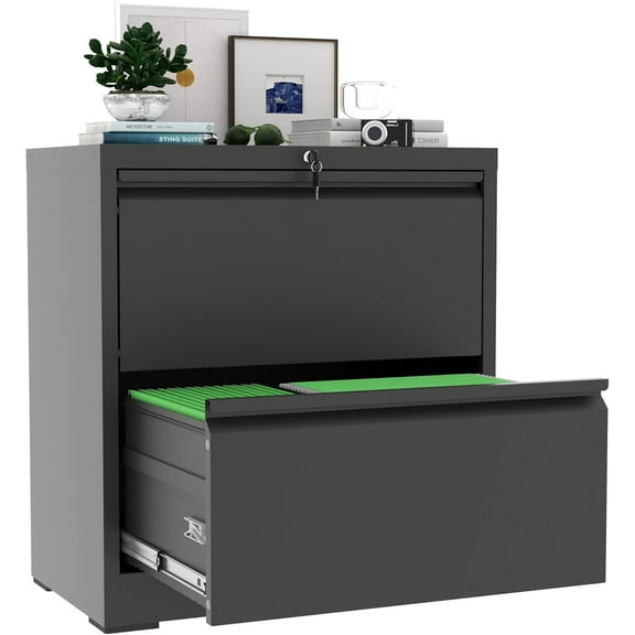 AQY 2 Drawer File Cabinet with Lock,Metal Black Lateral File Cabinets for Home Office,Steel Wide Filing Organization Storage Cabinets for Hanging Files Letter/Legal/F4/A4 Size(Black)